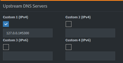 Custom (IPv4) Upstream DNS Servers 